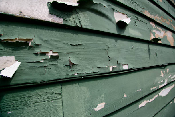 Best Demolition Debris Removal  in Pike Road, AL